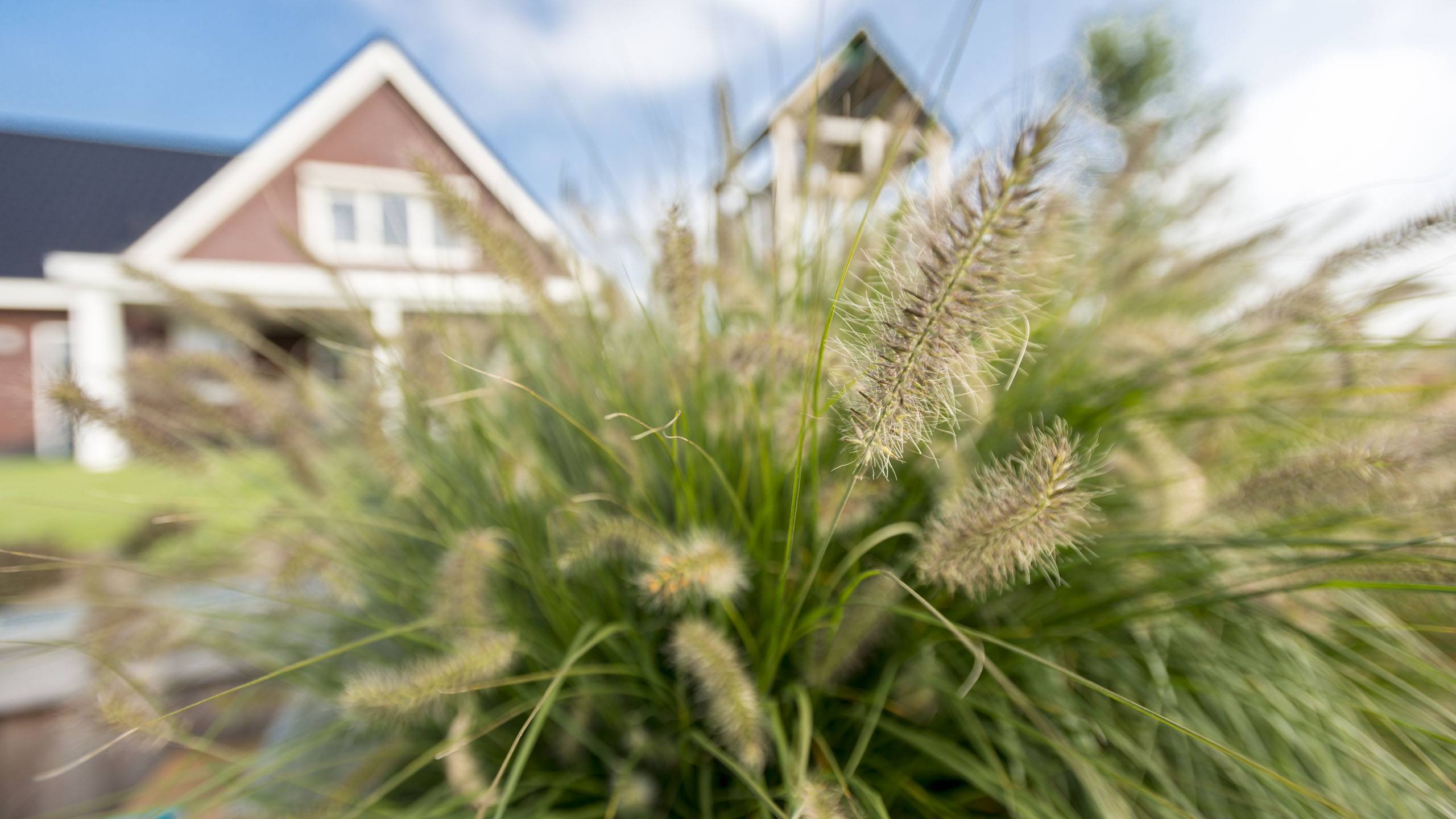 Van IJzendoorn Tuinen Hovenier