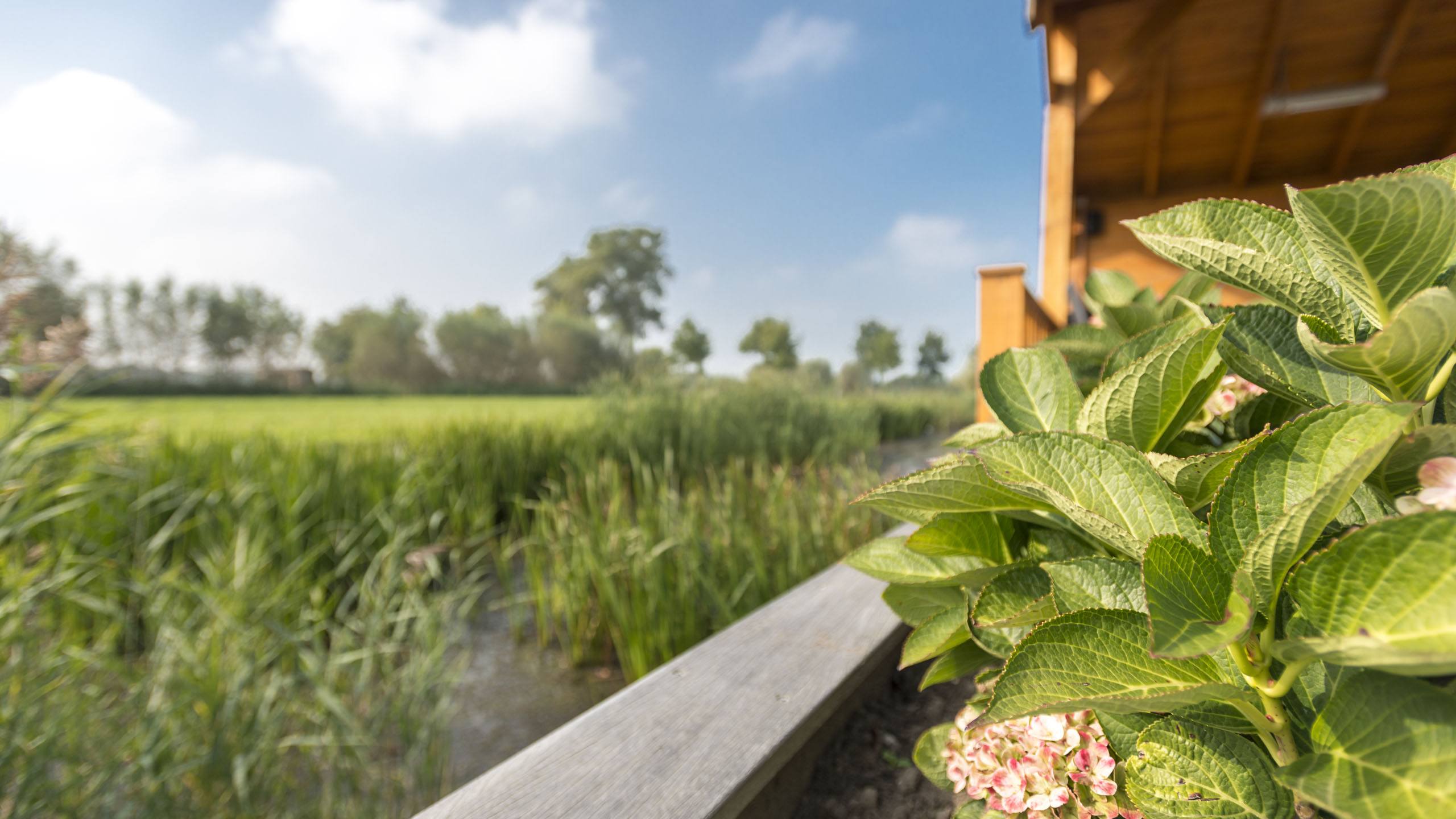 Van IJzendoorn Tuinen Hovenier